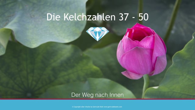 Die Bedeutung der Kelchzahlen