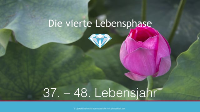 Die Lebensphase von 36 bis 48