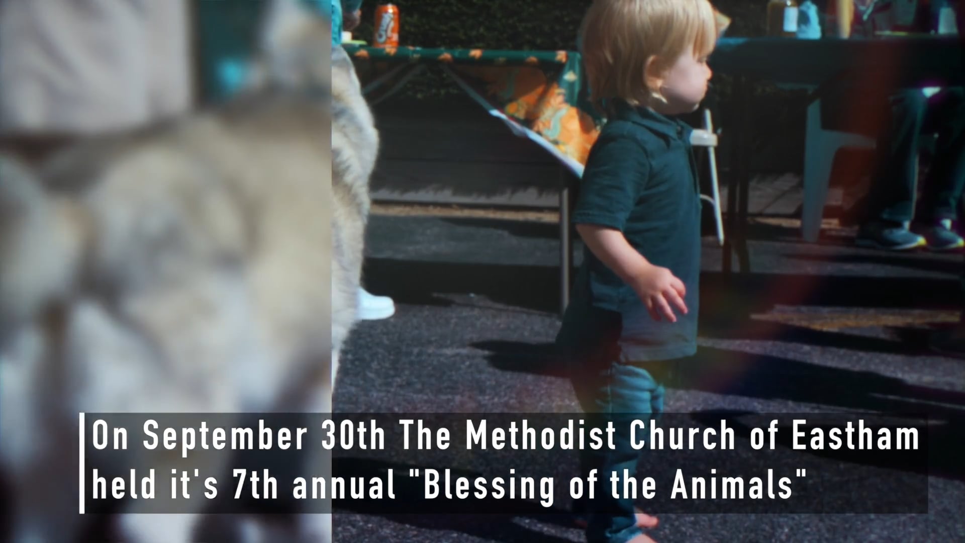 Eastham United Methodist Church Celebrates Paws and Claws at Annual