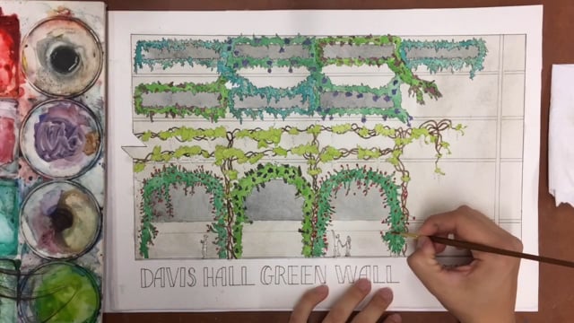 Davis Hall Green Wall by Megan Bradley
