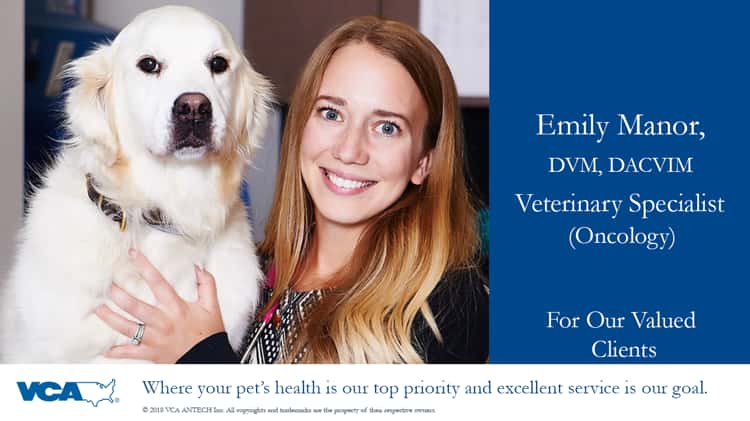 Vca advanced store veterinary care center