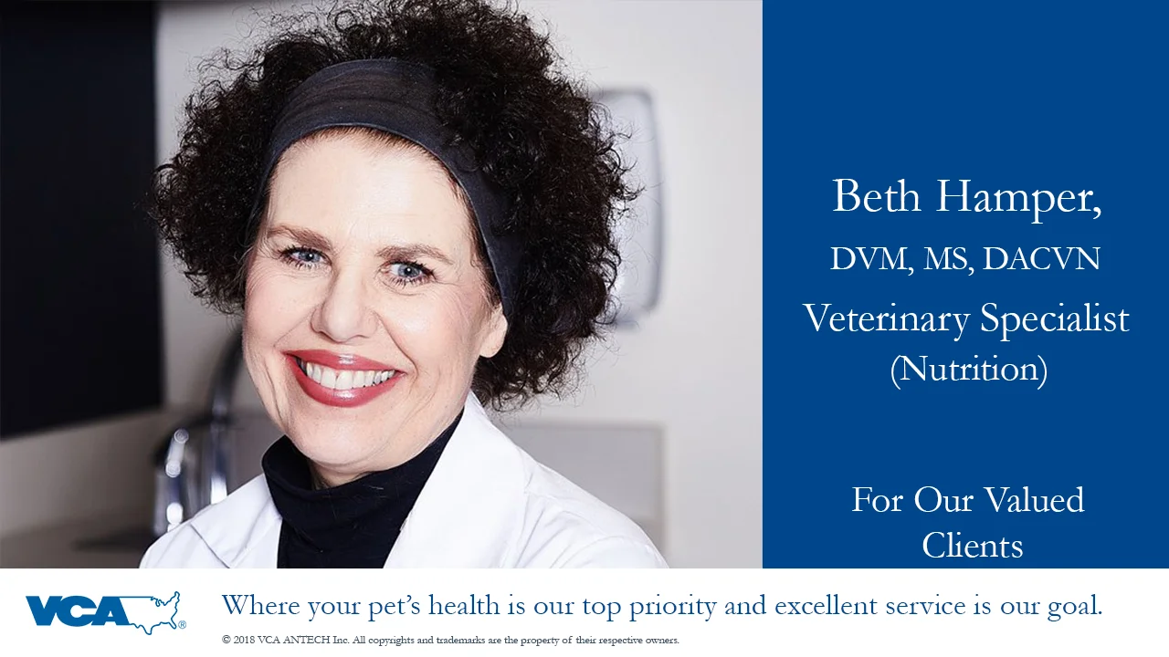 Dr. Beth Hamper VCA Advanced Veterinary Care Center