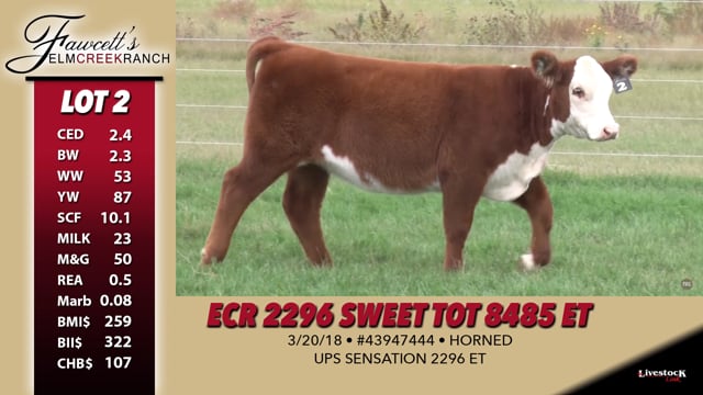 Lot #2 - ECR 2296 Sweet Tot 8485 ET
