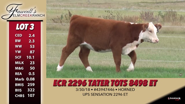 Lot #3 - ECR 2296 Tater Tots 8498 ET