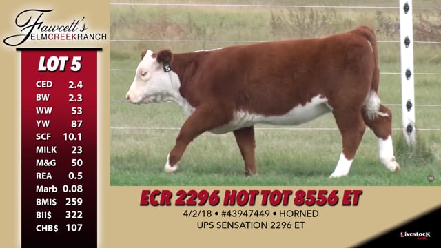 Lot #5 - ECR 2296 Hot Tot 8556 ET