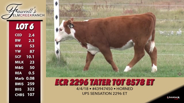 Lot #6 - ECR 2296 Tater Tot 8578 ET