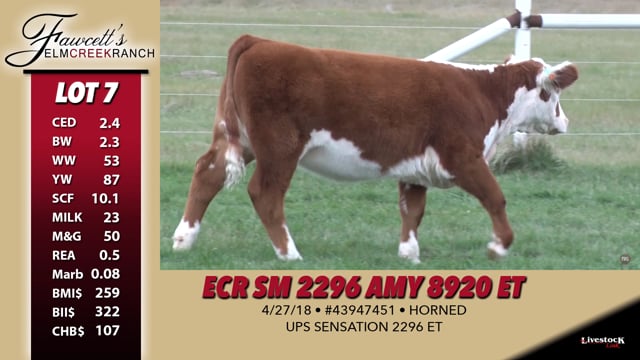 Lot #7 - ECR SM 2296 Amy 8920 ET