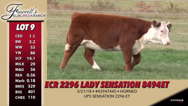 Lot #9 - ECR 2296 Lady Sensation 8494 ET