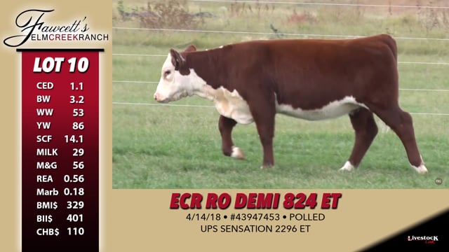 Lot #10 - ECR RO Demi 824 ET