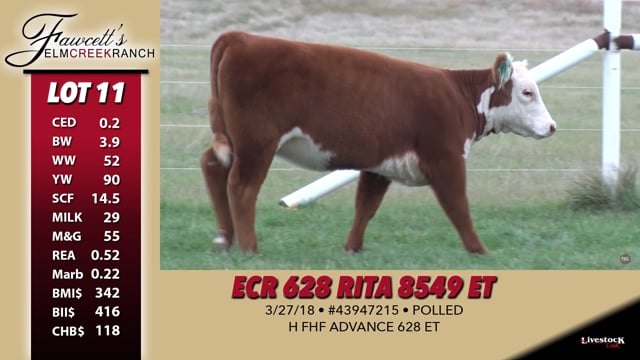 Lot #11 - ECR 628 Rita 8549
