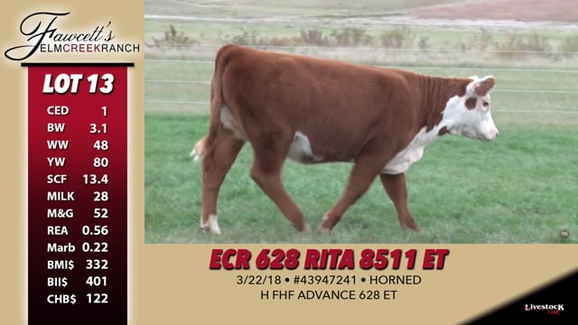 Lot #13 - ECR 628 Rita 8511 ET