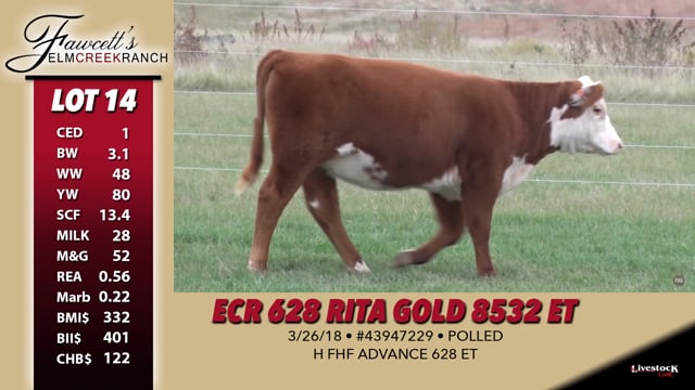 Lot #14 - ECR 628 Rita Gold 832 ET