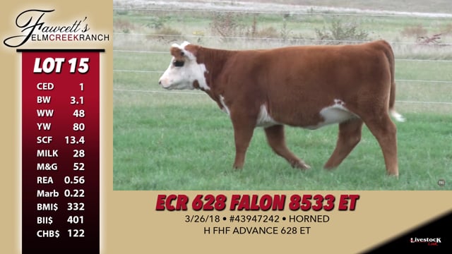 Lot #15 - ECR 628 Falon 8533 ET