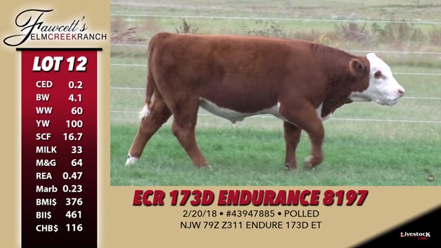 Lot #12 - ECR 173D Endurance 8197