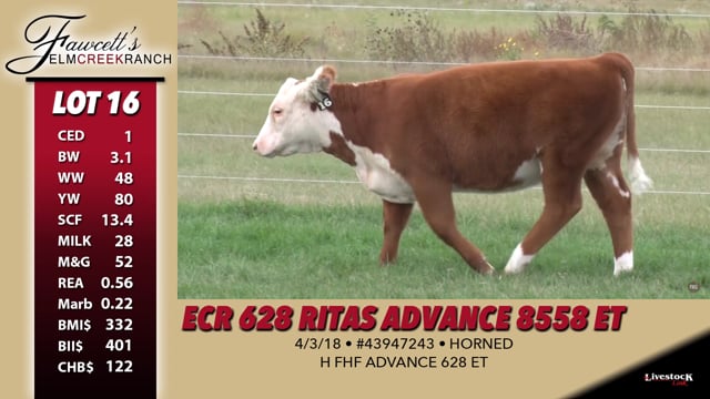 Lot #16 - ECR 628 Ritas Advance 8558 ET