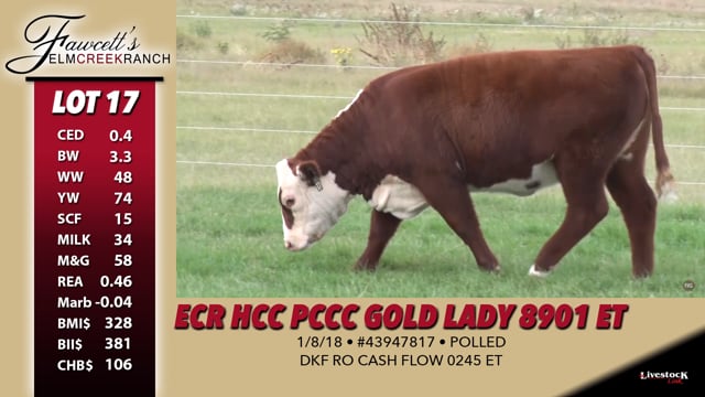 Lot #17 - ECR HCC PCCC Gold Lady 8901 ET