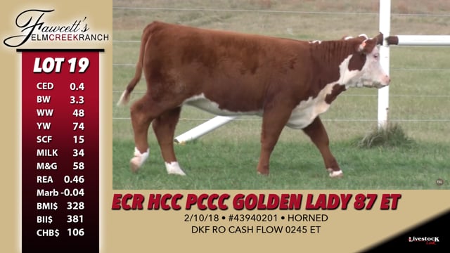 Lot #19 - ECR HCC PCCC Golden Lady 87 ET