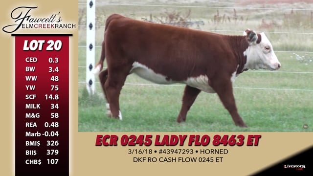Lot #20 - ECR 0245 Lady Flow 8463 ET