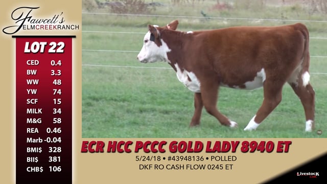 Lot #22 - ECR HCC PCCC Gold Lady 8940