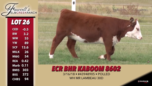 Lot #26 - ECR BHR Kaboom 8602