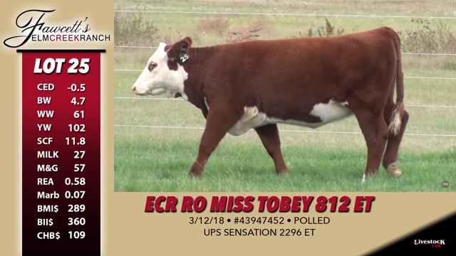 Lot #25 - ECR RO Miss Tobey 812 ET