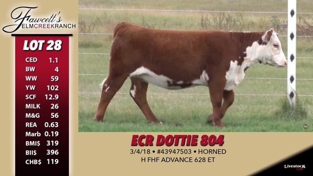 Lot #28 - ECR Dottie 804