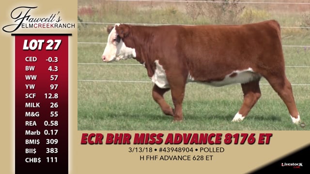 Lot #27 - ECR BHR Miss Advance 8176 ET