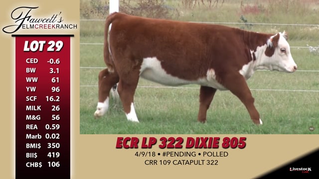 Lot #29 - ECR LP 322 Dixie 805
