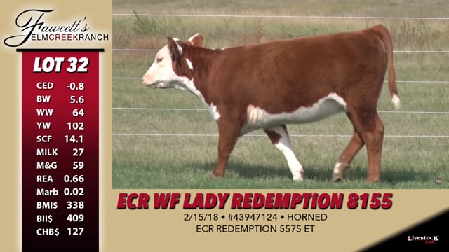 Lot #32 - ECR WF Lady Redemption 8155