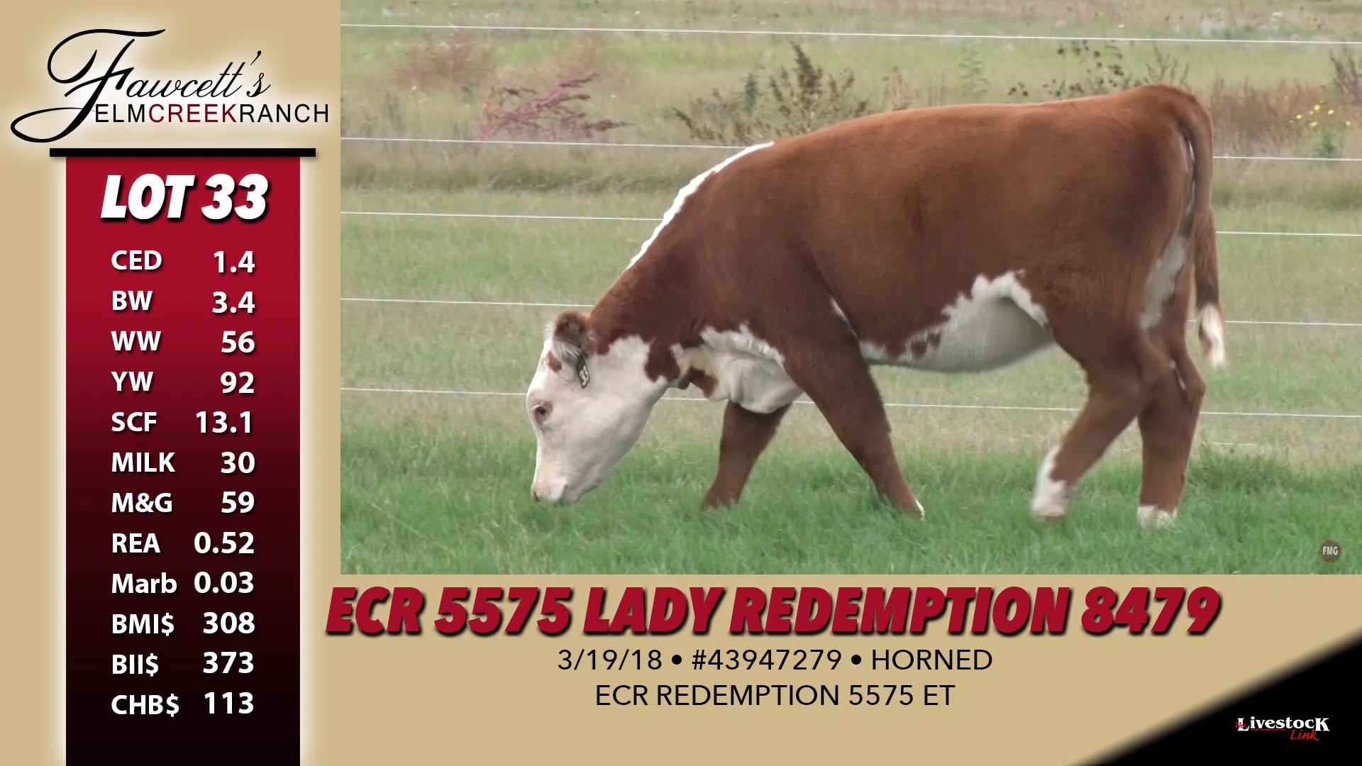 Fawcett's Elm Creek Ranch 2018 Female Sale Lot 33 on Vimeo