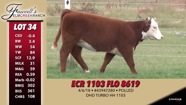 Lot #34 - ECR 1103 Flo 8619