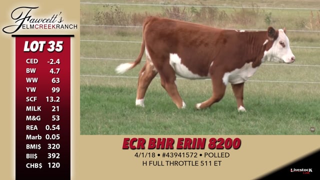 Lot #35 - ECR BHR Erin 8200