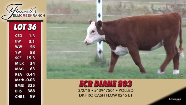 Lot #36 - ECR Diane 803