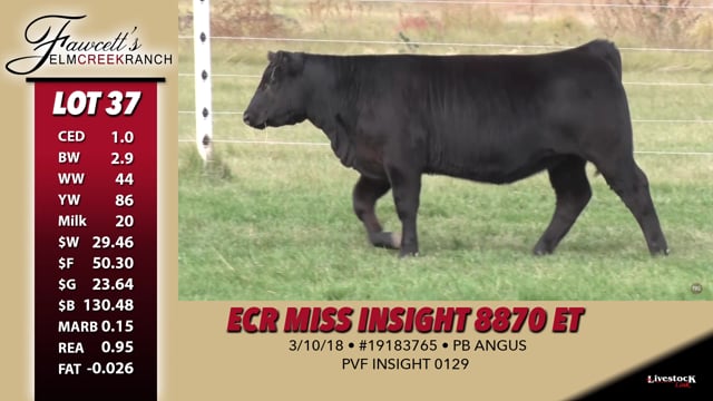 Lot #37 - ECR Miss Insight 8870 ET