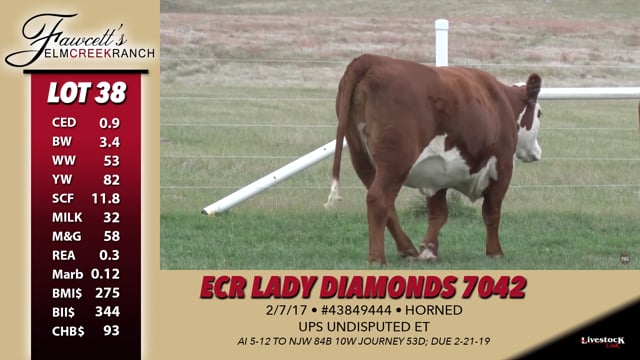 Lot #38 - ECR Lady Diamonds 7042
