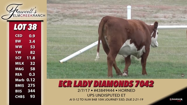Lot #38 - ECR Lady Diamonds 7042