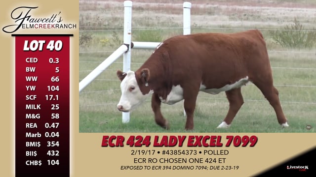 Lot #40 - ECR 424 Lady Excel 7099