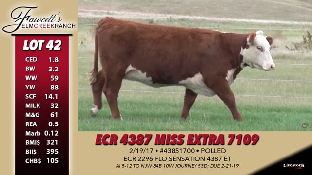 Lot #42 - ECR 4387 Miss Extra 7109