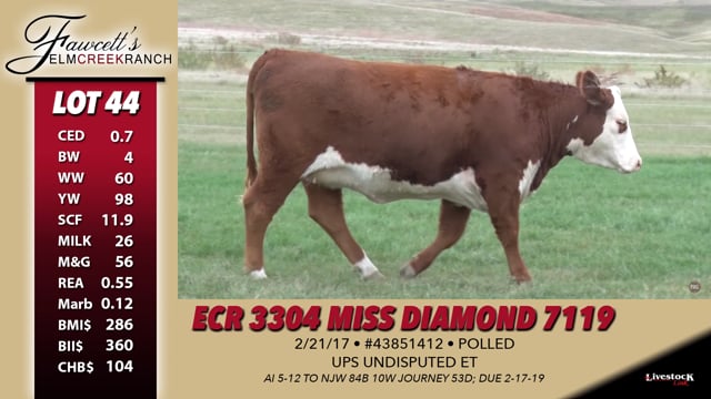 Lot #44 - ECR 3304 Miss Diamond 7119