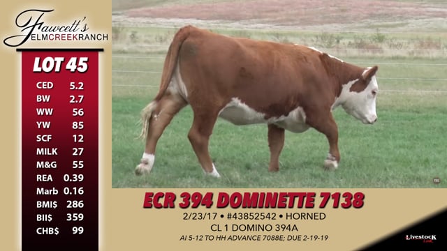 Lot #45 - ECR 394 Dominette 7138
