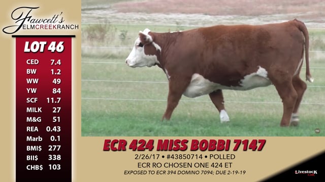 Lot #46 - ECR 424 Miss Bobbi 7147