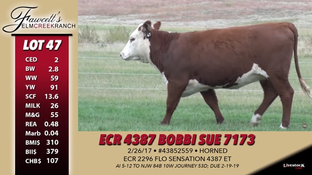 Lot #47 - ECR 4387 Bobbi Sue 7173