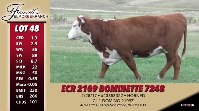 Lot #48 - ECR 2109 Dominette 7248