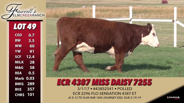 Lot #49 - ECR 4387 Miss Daisy 7255