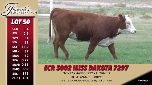 Lot #50 - ECR 5002 Miss Dakota 7297