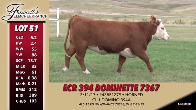 Lot #51 - ECR 394 Dominette 7367