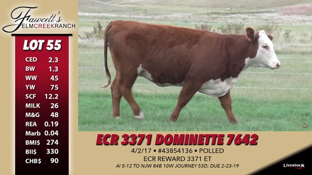 Lot #55 - ECR 3371 Dominette 7642