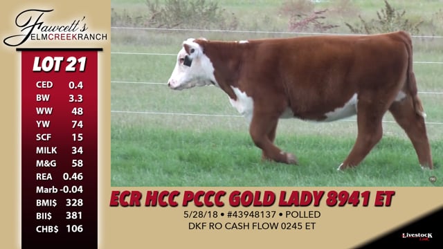 Lot #21 - ECR HCC PCCC Gold Lady 8941 ET
