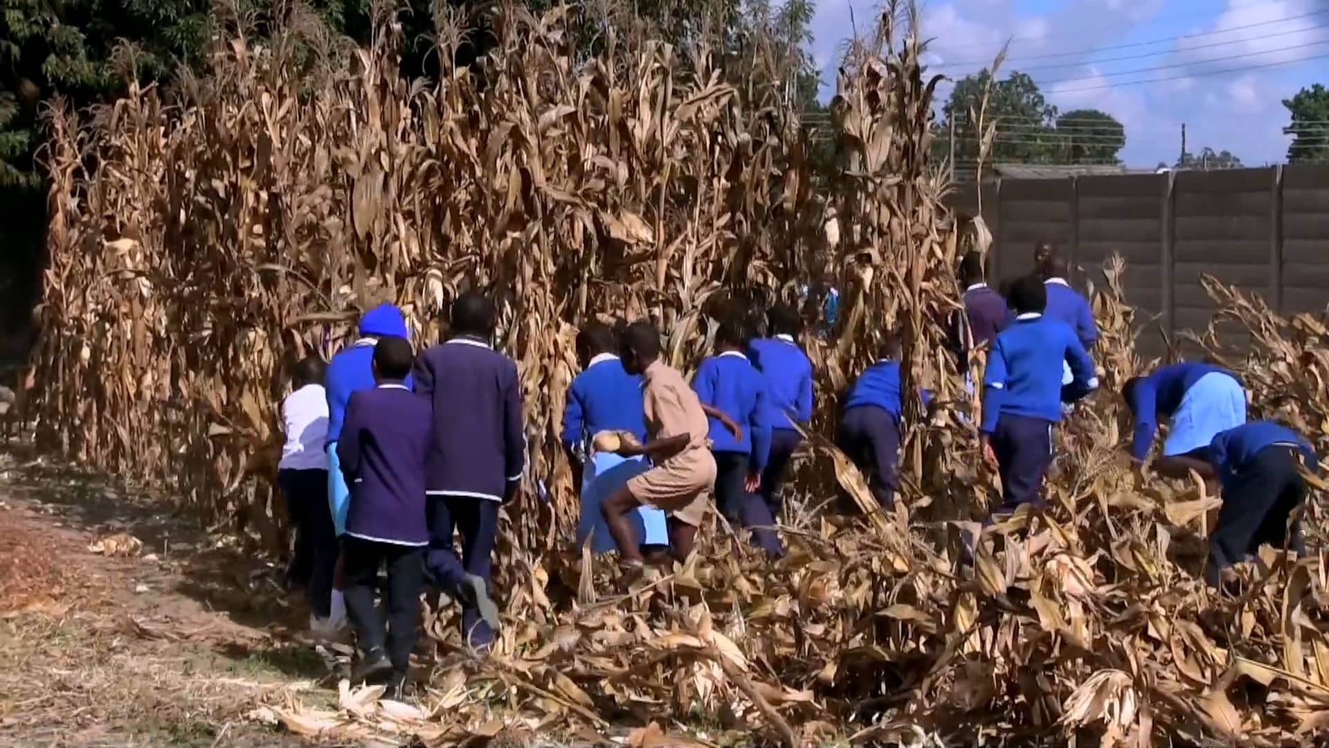 FOUNDATIONS FOR FARMING DOCUMENTARY on Vimeo