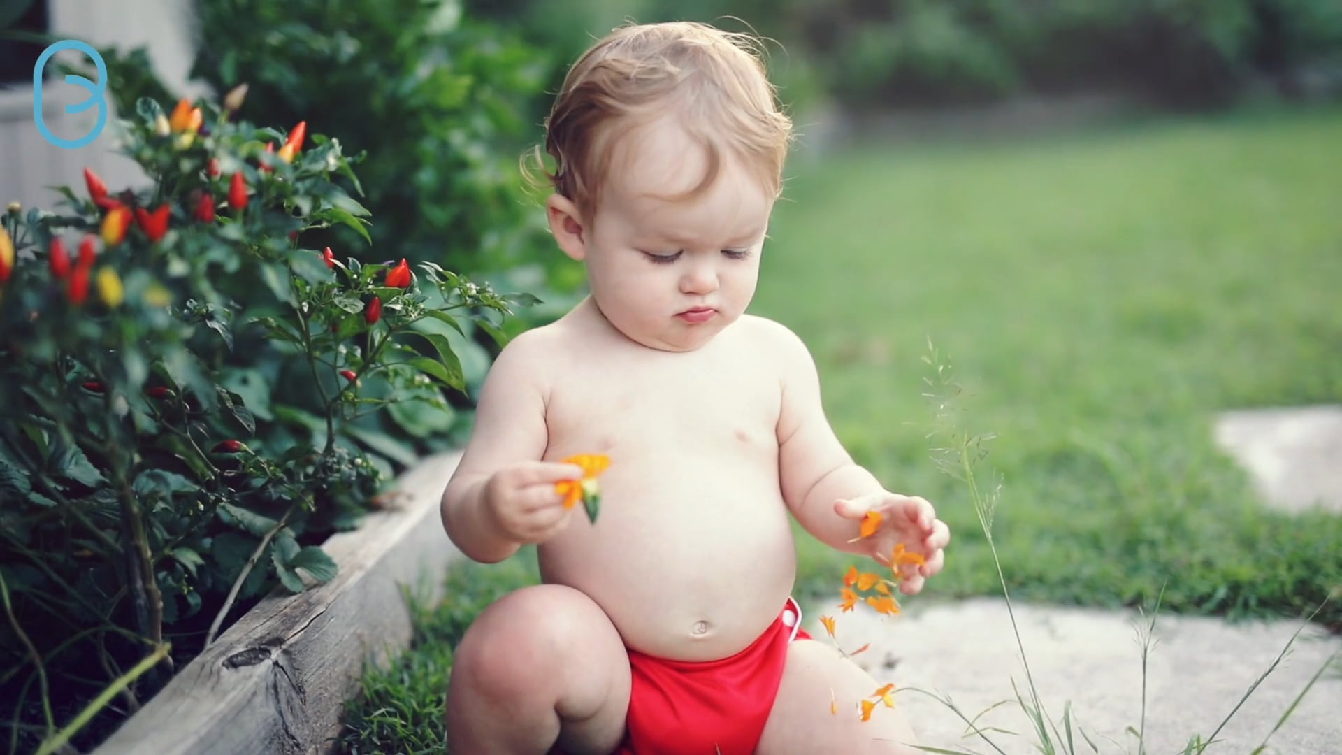 Branded Content - Family Love